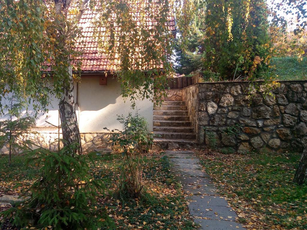 Szalma Vendeghaz Ξενοδοχείο Mogyorosbanya Εξωτερικό φωτογραφία